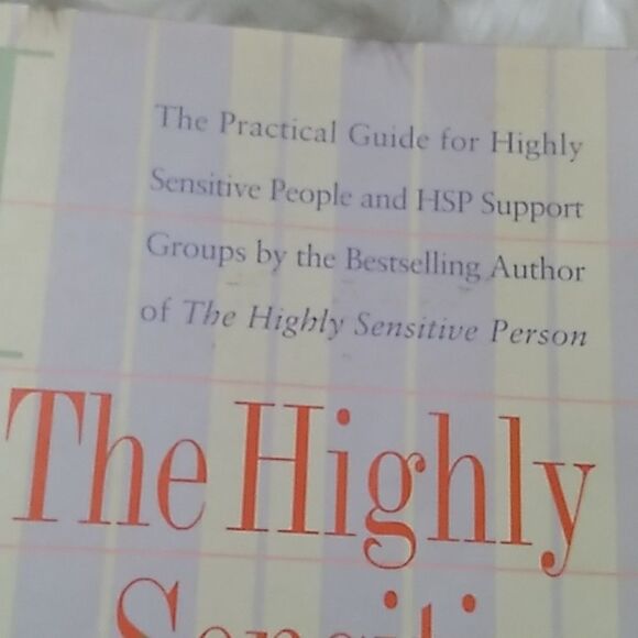 Highly Sensitive Persons Workbook paperback book - Picture 8 of 10